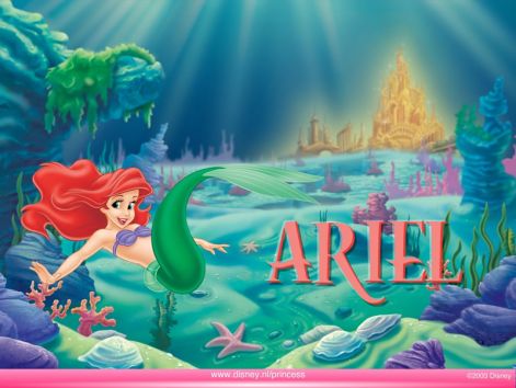 ariel_800x600_fl.jpg